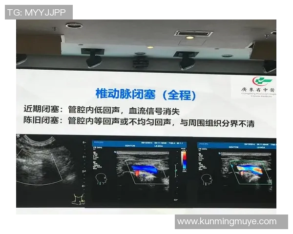 哈肯与哈马比的对决分析及双方近期状态评估