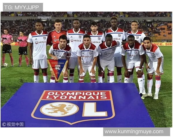 国米与里昂比赛门票价格及座位安排详解