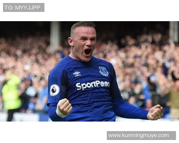 埃弗顿对阵热刺精彩回放全程回顾与比赛分析