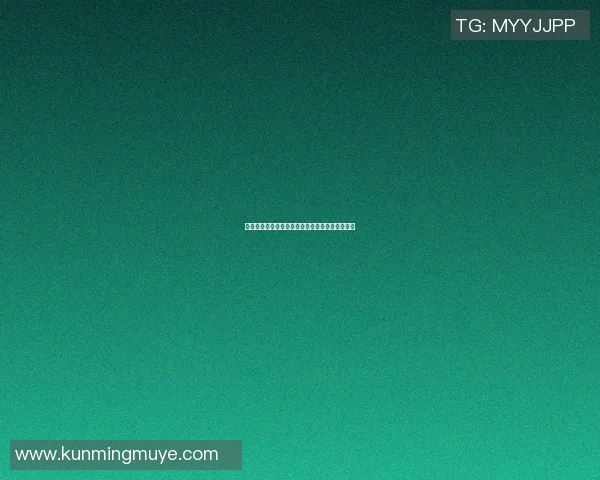 塞内加尔与加纳足球对决前瞻分析及胜负预测探讨