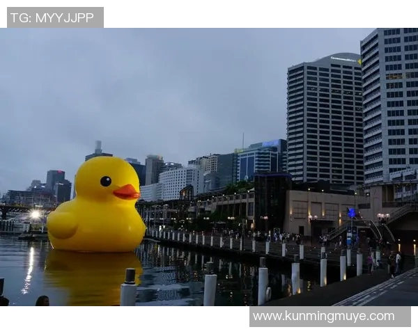 悉尼与墨尔本激战正酣比分更新分析及赛况回顾