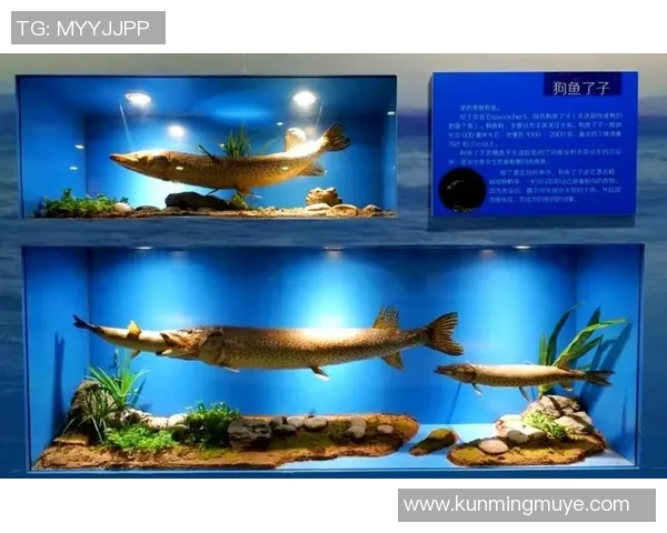 春武里与巴蜀的文化交融与历史渊源探讨之旅