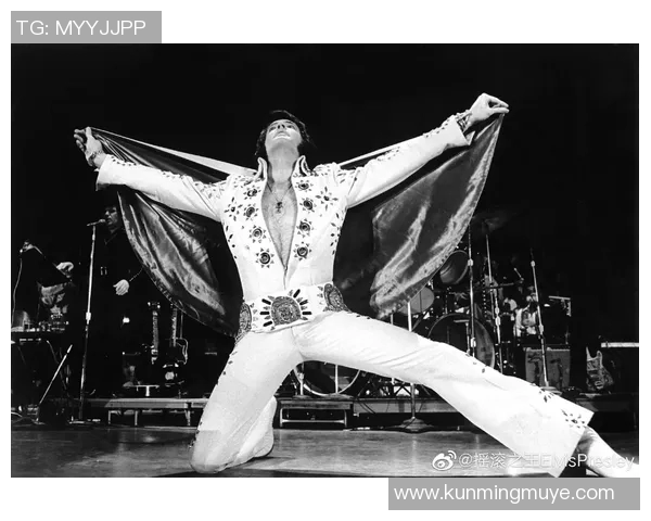 斯通斯传奇：从摇滚乐坛到文化符号的演变与影响