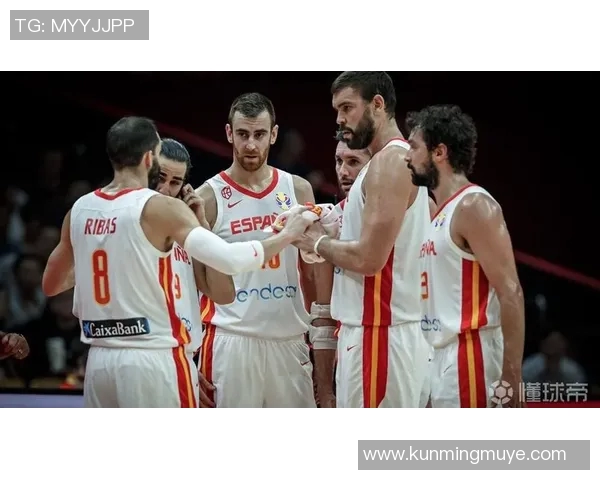 捷克与澳大利亚足球对决阵容分析及战术解读