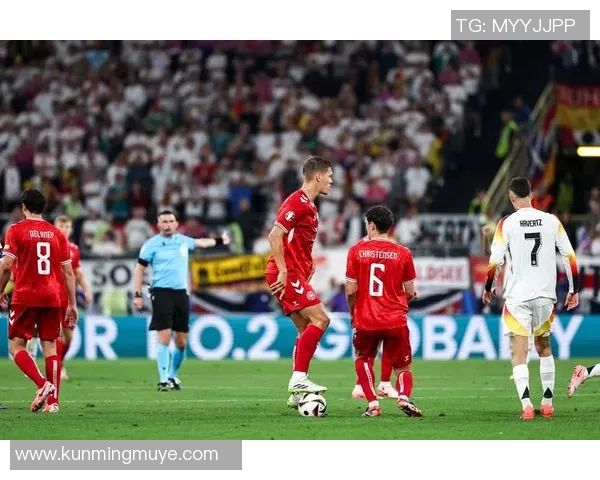 波兰与爱尔兰激战欧洲杯小组赛精彩回顾与分析 波兰与爱尔兰激战欧洲杯小组赛精彩回顾与分析