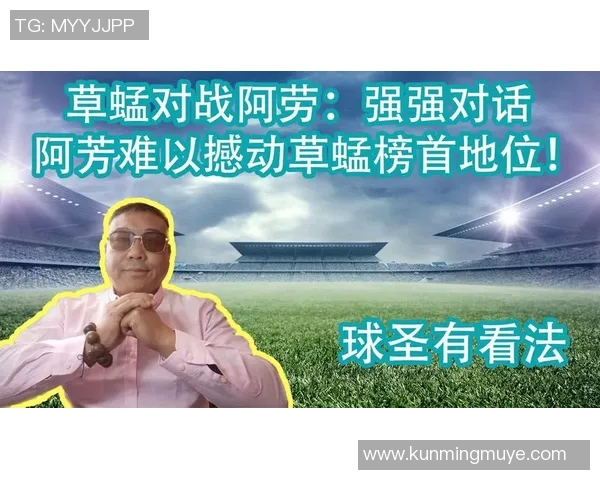 草蜢VS阿劳比分结果