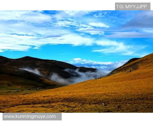 萨林杰的文学世界：探索孤独与反叛的心灵旅程
