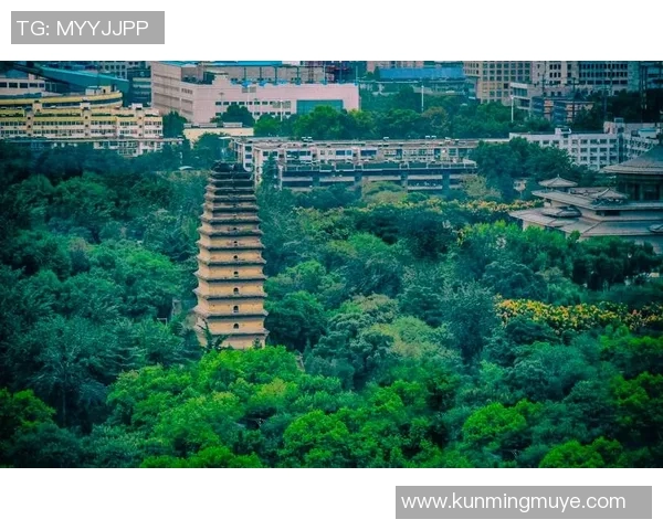 陕西大秦之水与上海的文化碰撞与发展探索之旅