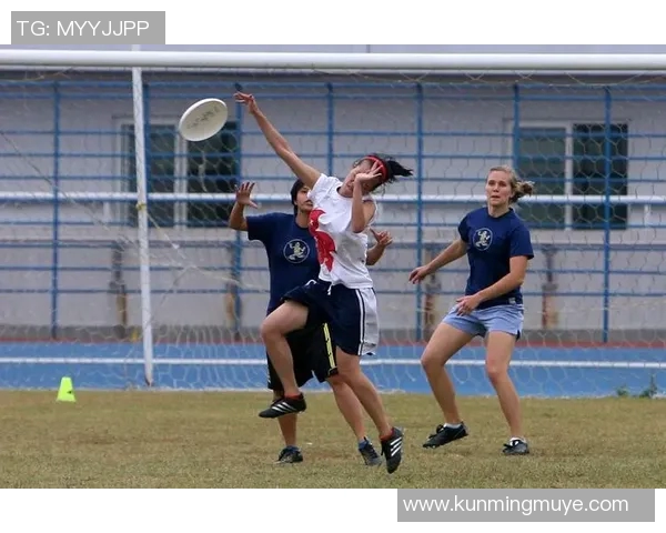飞盘盛宴:深圳飞盘队的节奏与魅力全景解析 飞盘盛宴:深圳飞盘队的节奏与魅力全景解析