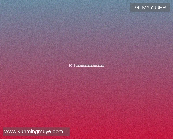 2019年辽宁男篮与安哥拉队的精彩对决回顾与分析