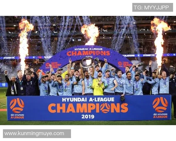 上海上港与悉尼精彩对决录像回放及赛后分析分享